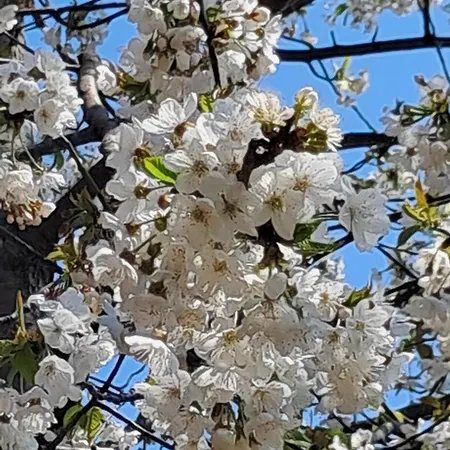 Villaggio Turistico Tecciù Di Cuppi Camping *