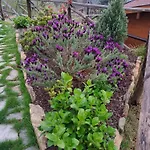 Villaggio Turistico Tecciu Di Cuppi Camping