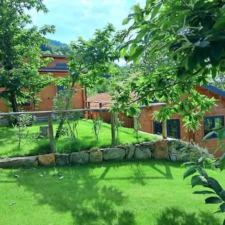 Villaggio Turistico Tecciu Di Cuppi مكان تخييم *