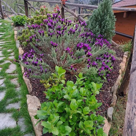 Villaggio Turistico Tecciu Di Cuppi Campingplatz