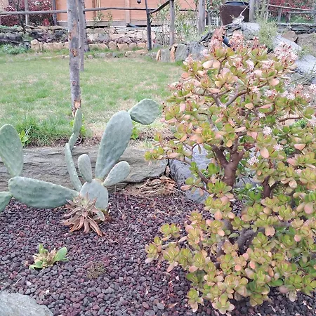 Villaggio Turistico Tecciu Di Cuppi * Magliolo